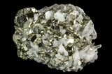 Gleaming Pyrite & Quartz Crystal Association - Peru #124442-1